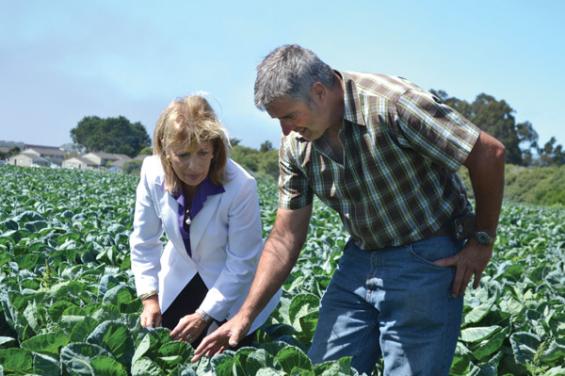 Giusti Farms