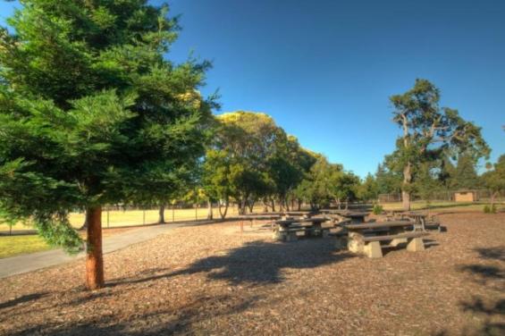 Flood_Park-006.jpg