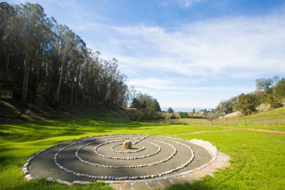 Miramar_Farms_HalfMoonBay_SanMateoCounty_SiliconValley