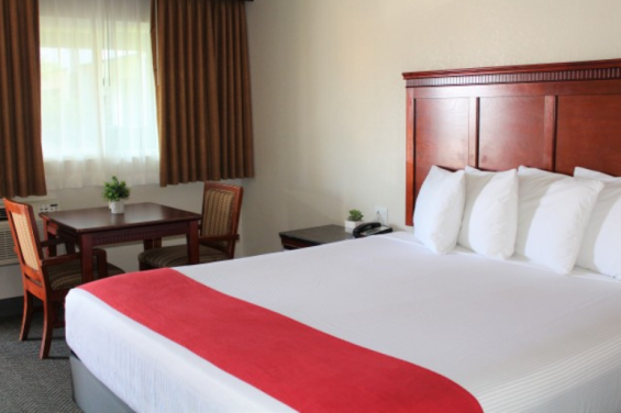 Rodeway Inn SFO King Bed from website