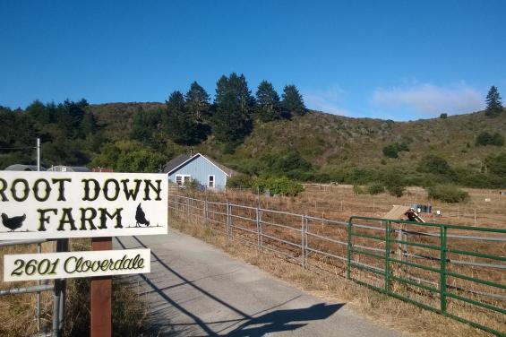 Root_Down_Farm_Entrance_Sign