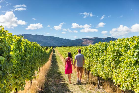 Wine Country Limo Service
