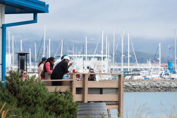 Mavericks House & Harbor View Garden