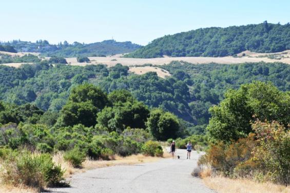 pulgas_ridge_17_by_Edna_Takeda_Geller.jpg