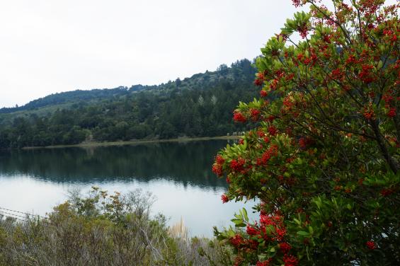 Sawyer Camp Trail 2