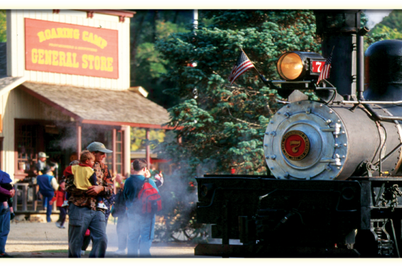 Roaring Camp Railroads 2