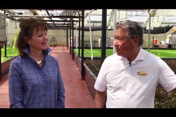 Oku Farms Video