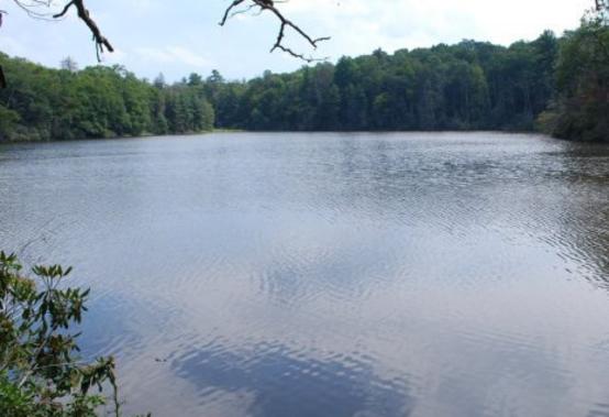 Lakes