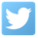 Twitter Icon