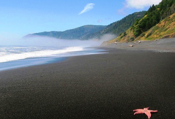 Weddings on the Lost Coast