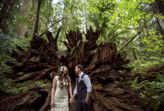 Grizzly Creek Redwoods State Park