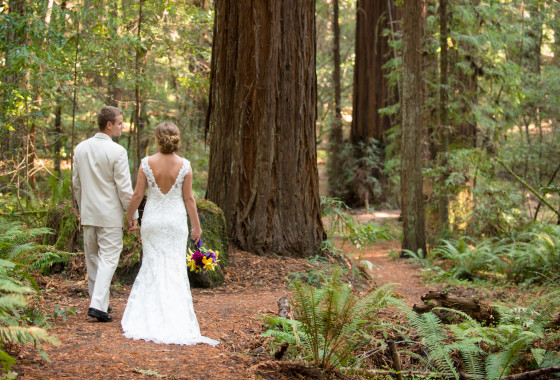 Weddings in Humboldt Redwoods State Park