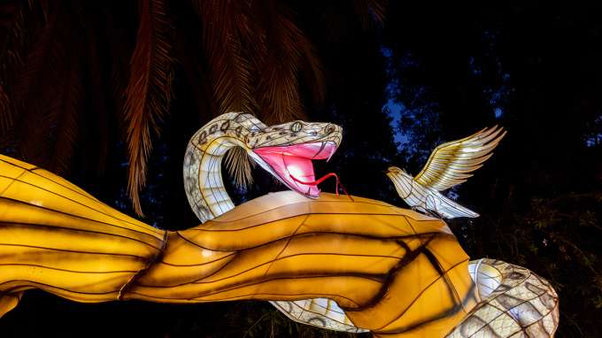 Oakland Holiday Events | Holiday Markets & Celebrations