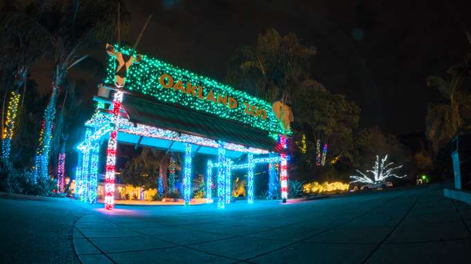 ZooLights at Oakland Zoo