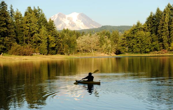 Alder Lake Near Mount Rainier