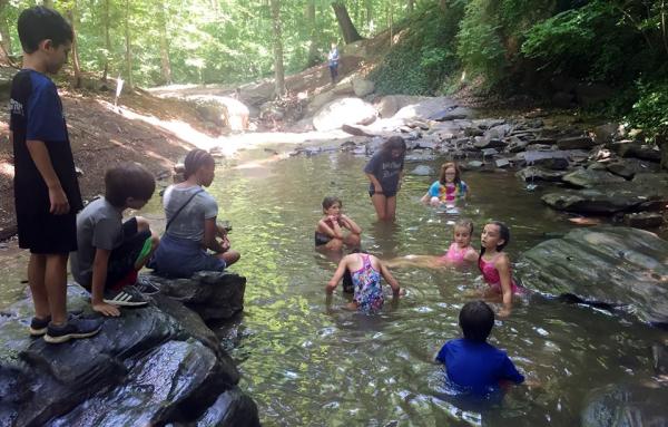 Wildcat Creek Summer