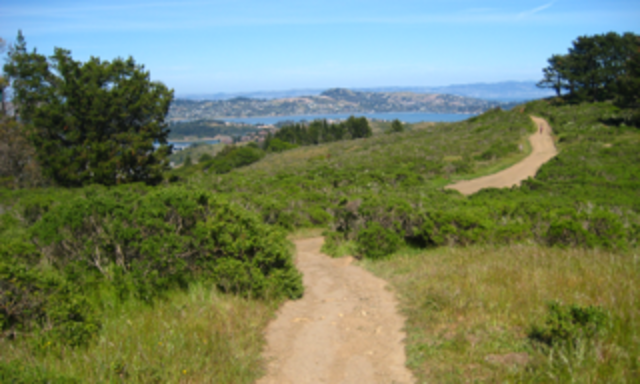 Bay Area Ridge Trail