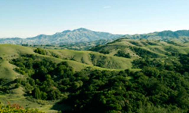 Huckleberry Botanic Regional Preserve