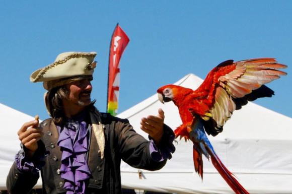 Pirate's Parrot Show at the Louisiana Pirate Festival