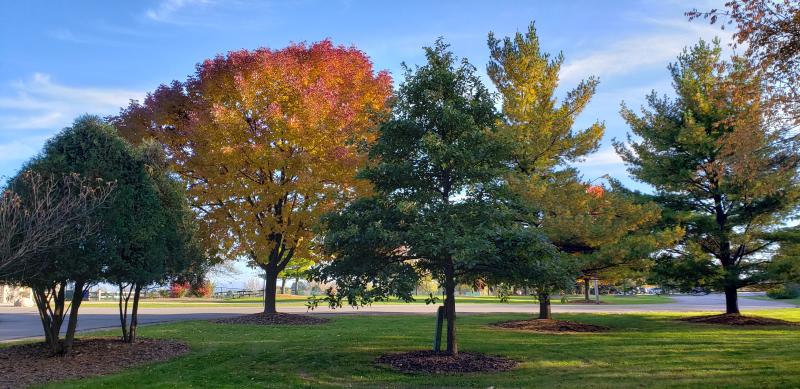 Fall Colors at Prairie Springs