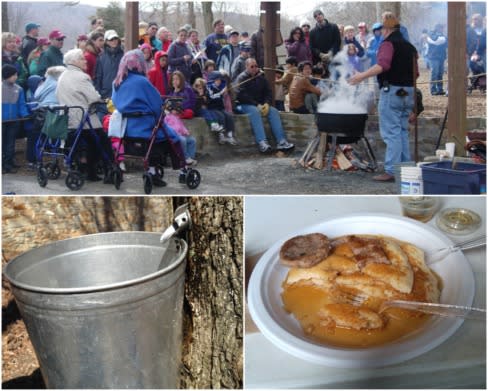 Maple Syrup Festival Photo Collage