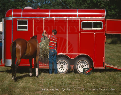 Boy & horse