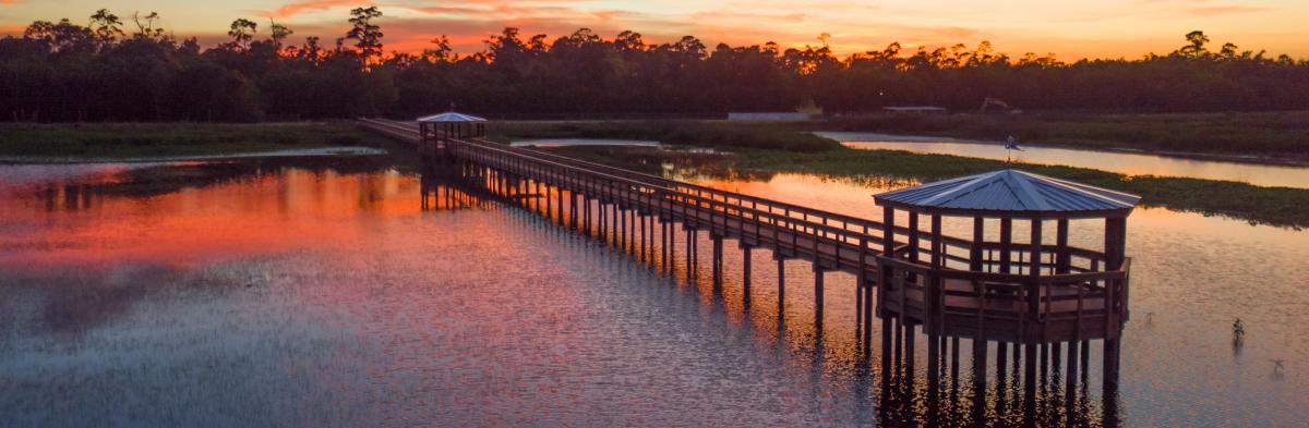 Cattail Marsh - Beaumont