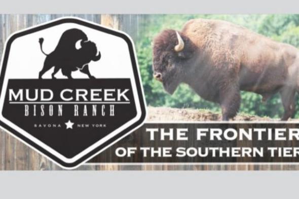 Mud Creek Bison Ranch logo