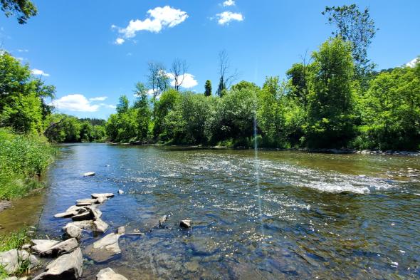 Cohocton River Babcock Hollow Rd. Boat Launch