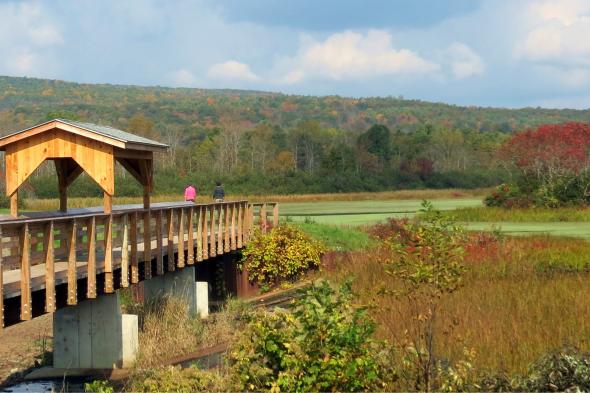 Birdseye Hollow Pond