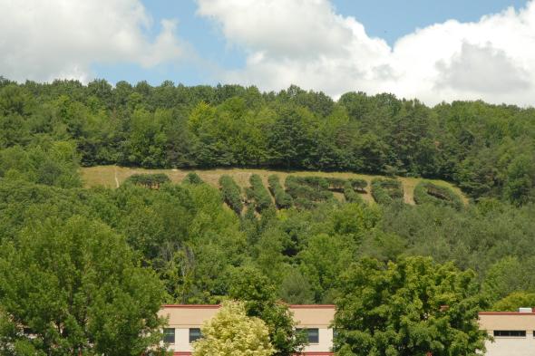 Canisteo Living Sign