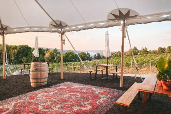 Living Roots Wine & Company