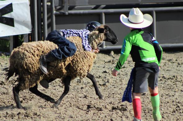Reese Ranch Rodeo