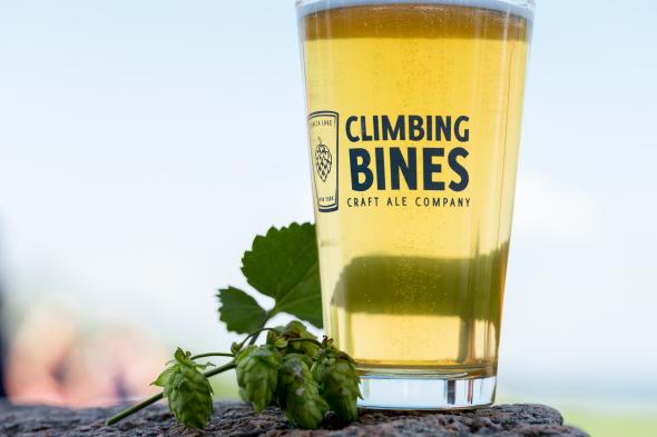 Climbing Bines