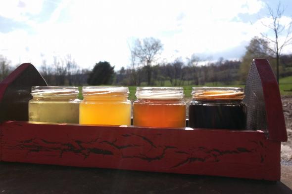 Diversion Brewing Company