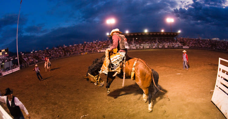 Summer Nights Activities in Utah Valley - Rodeos