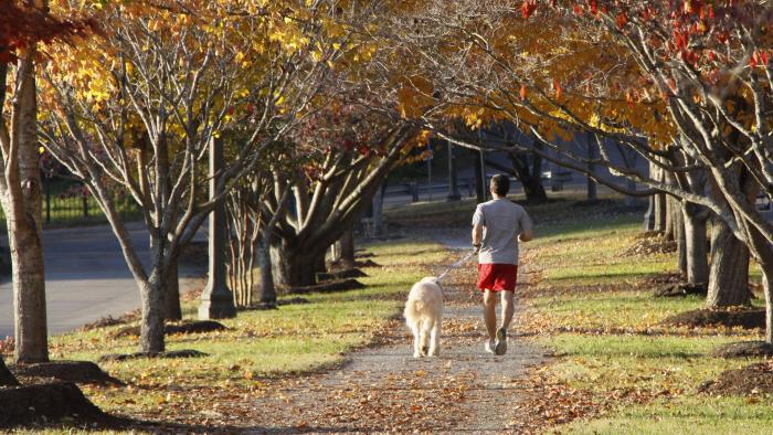 Man jogging along a Sequoyah Park path in Knoxville