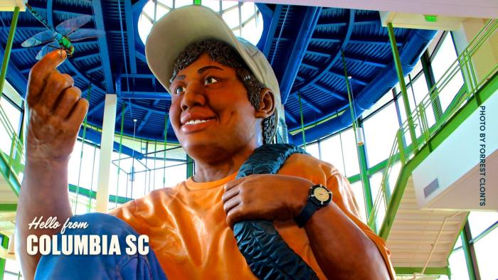 Zoom Background Eddie statue
