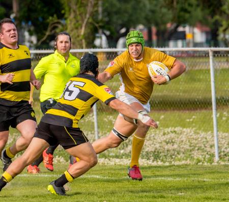 Nola Gold Rugby