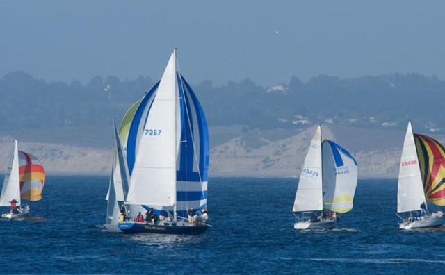 Sail Boats on Monterey bay