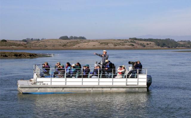 elhorn slough safari