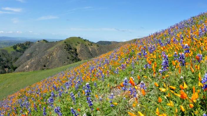 best hikes in los padres national forest