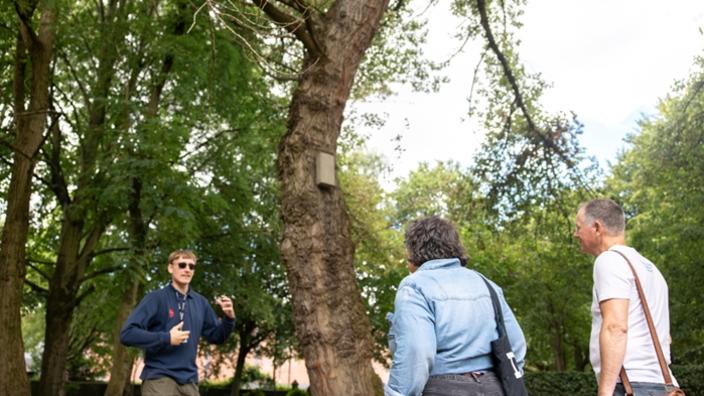 Heritage Open Day: Underneath Castlefield Viaduct Heritage Walks at Castlefield Viaduct