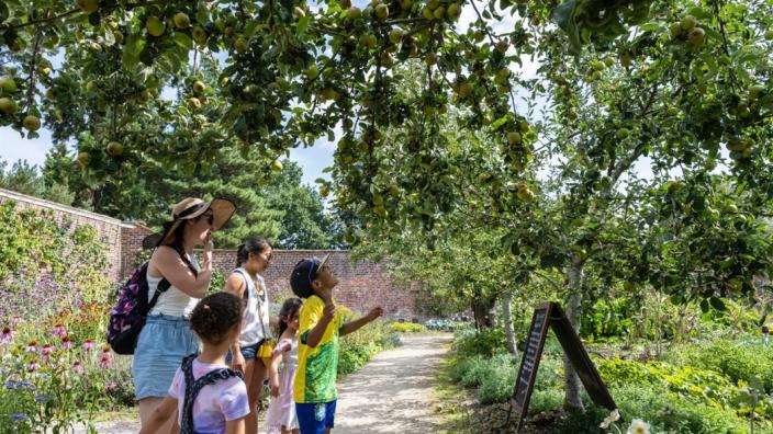 Family garden wildlife watch at National Trust Quarry Bank