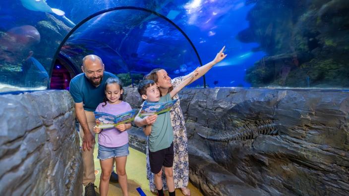 Sea Creature Rescue Squad at SEA LIFE Manchester