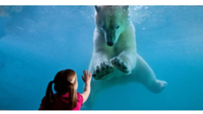 point defiance zoo aquarium