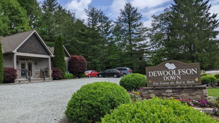 Dewoolfson down pillows cheap
