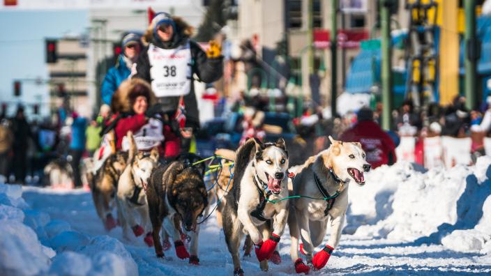 Iditarod Trail Sled Dog Race Start