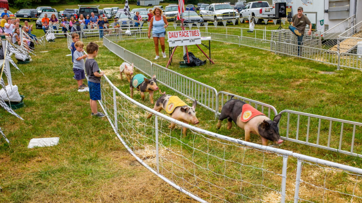 Anne Arundel County Fair Week