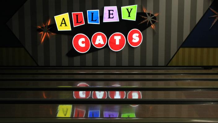 Alley Cats